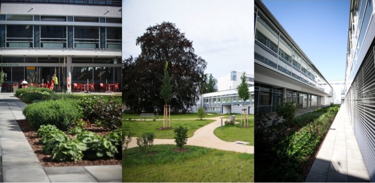 Patientenpark der Oberlausitzer Kliniken fertiggestellt