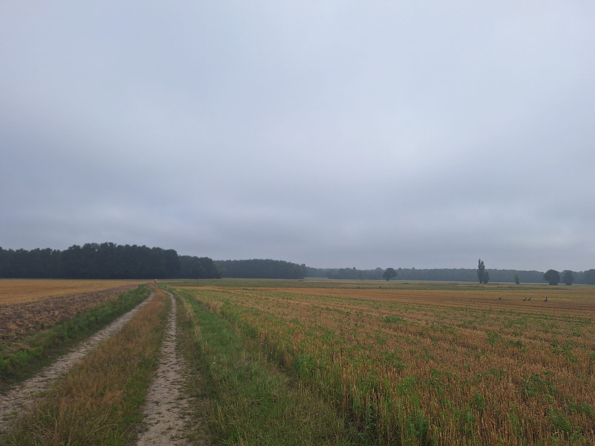 Natura-2000-Vorprüfung in Biehla-Weißig